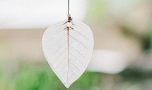 世界名著中的经典哲理句子