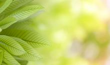 晚上吹风的说说心情