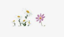 开开心心又快乐的句子