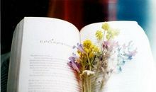 教师节写给老师的句子 祝福感谢老师的话