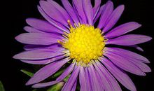 明天就是五一问候短信