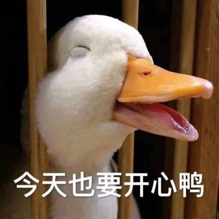 以下是一些由编辑编辑的有关彼此祝福的句子