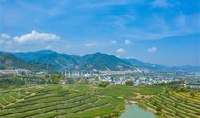 采茶发朋友圈的说说 又到采茶的季节的说说