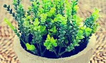 适合心静的句子