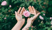 希望你未来开心的句子