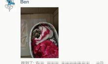 发朋友圈说说表白