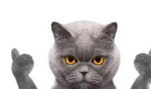 令自己开心的句子