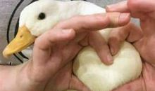 关于开心的周末句子