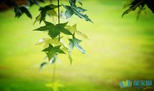 心酸想哭的一句话