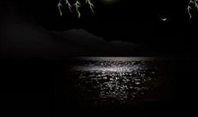 父母对自己失望的句子说说