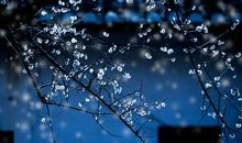 下雨心烦的图片和句子
