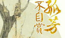 孤芳不自赏经典语录