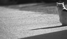 对亲情失望的句子说说心情短语