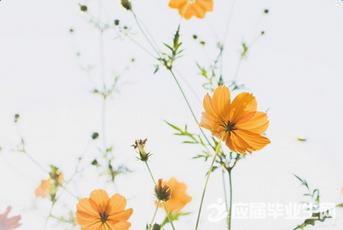 无论您走到天涯海角
