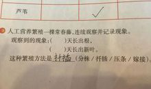 qq个性签名范二