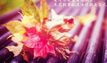 内心的痛只有自己知道的说说