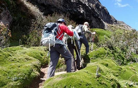 攀登山顶的脚步力量