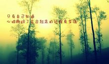 为自己的选择承担后果的说说