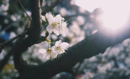 自古以来