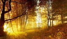 有关青春文学优美句子