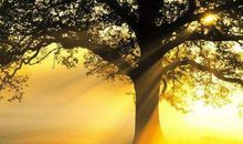 关于文艺伤感的句子精选