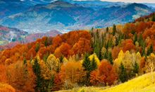 文艺的关于美食的句子