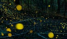 七夕节浪漫的句子2020