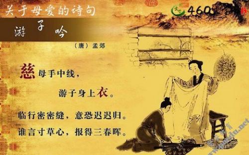形容母爱的好词好句 0
