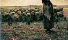 对某人极度失望的句子