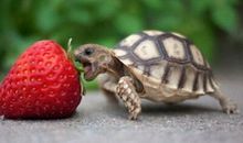 2016搞笑语录：每天都看着不同口味的安眠药在讲台上走来走去