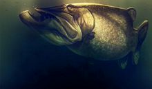 对公司失望想离开的句子