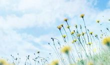 感觉开心充实的句子