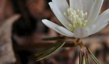 不能太相信一个人的说说