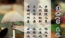 表达自己情怀的诗句