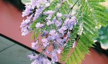 生活中的哲理句子有哪些