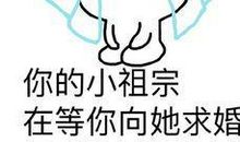 求婚搞笑语录