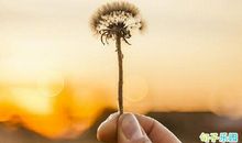 早安的名言警句 早安心语名人语录