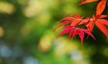 表达在一起开心的句子图片