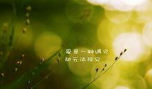 关于珍惜彼此的说说