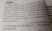 描写人物外貌的语句