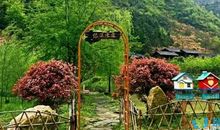 描写山野的句子