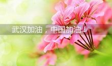 祖国加油武汉加油的说说 武汉加油的句子朋友圈微博说说