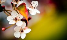 2020好起来的朋友圈说说 一切都会好起来的说说