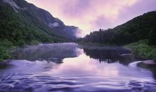 描写大自然的优美句子