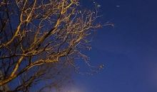 起早贪黑朋友圈的句子 为了生活起早贪黑的句子