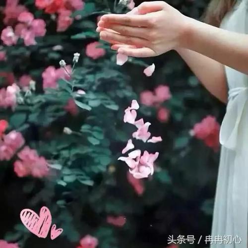 正能量句子是什么