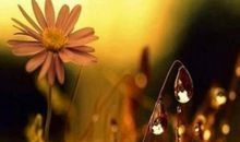 赞美小女孩漂亮的句子