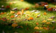 秋意渐浓发朋友圈的句子