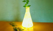 网络经典语录：世界上，唯独骗不了的，是自己的心