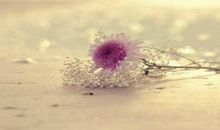 描写早上阳光的句子